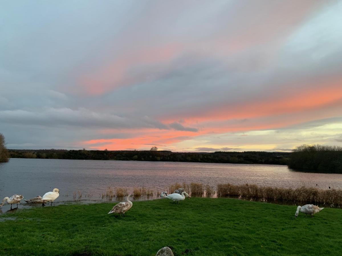 Lochside Loft - Self Catering Apartment For 2 In A Great Location For Inverness Airport And Both Cabot Highlands & Nairn Golf Courses Exteriér fotografie